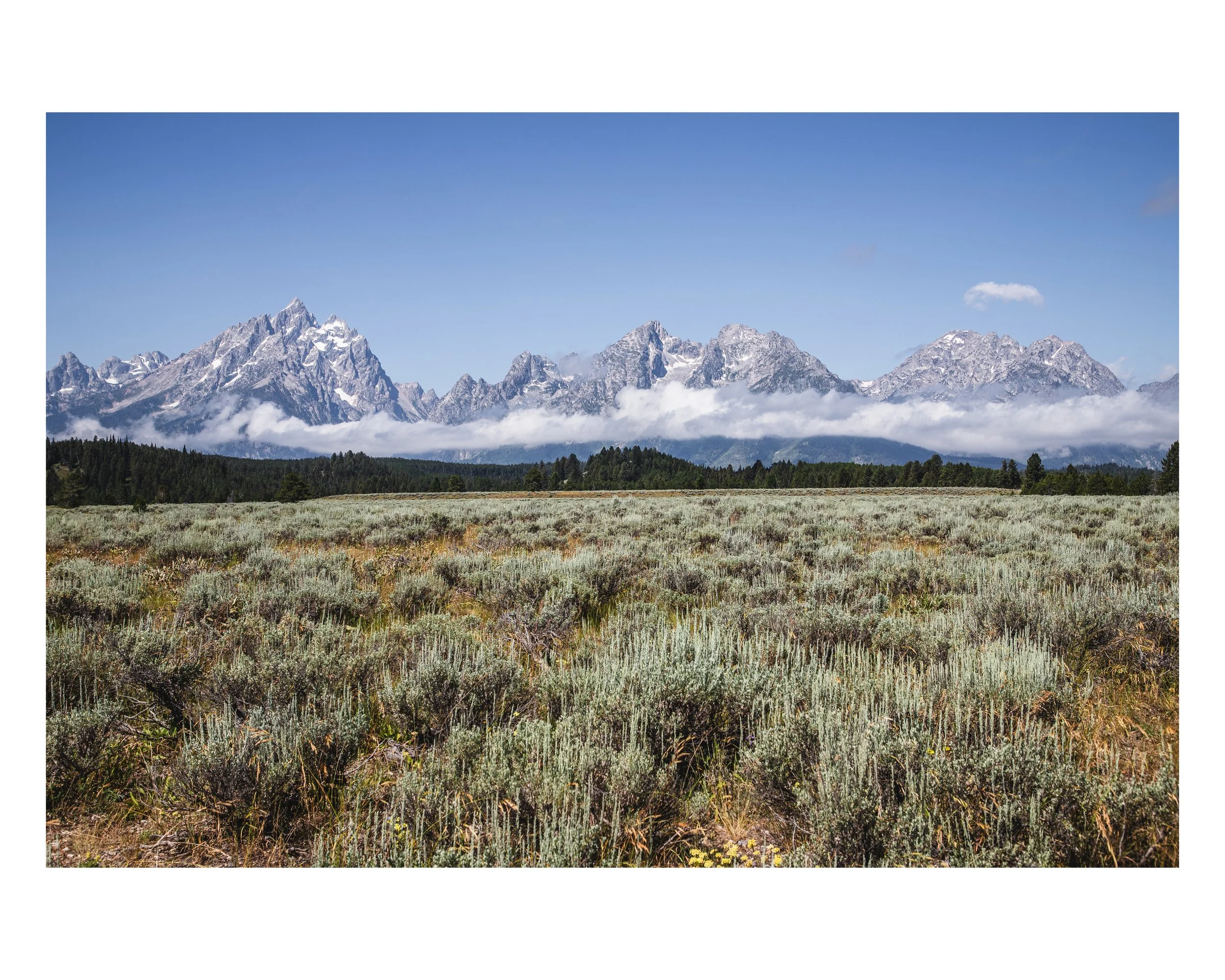 Grand Teton National Park — Jordan Sheets